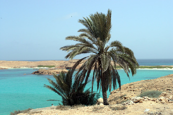 Réserve naturelle des îles Dimaniyat