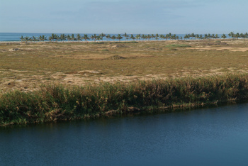 Reserva de Khor Al Baleed