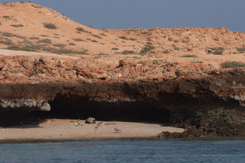 Reserva Natural de las Islas Daymaniyat