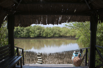 Naturreservat Al Qurm 