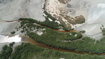 Reserva de Humedales