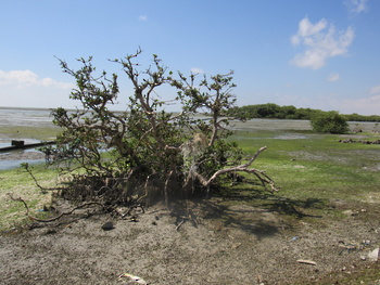 Naturreservat der Feuchtgebiete