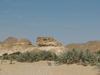 Naturreservat Jabal Samhan