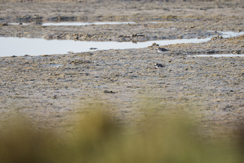  Naturreservat der Feuchtgebiete
