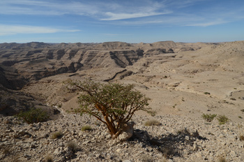 Reserva de Jabal Samhan