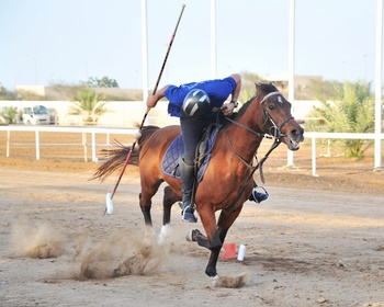 Caballos y Camellos