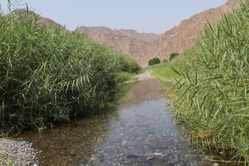 Wadi Al Abyad, en la Wilaya de Nakhal
