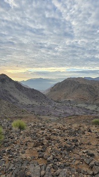 Réserve naturelle d’Al Sarin 