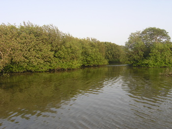 Naturreservat der Feuchtgebiete