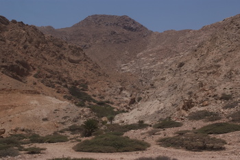 Naturreservat Jabal Samhan