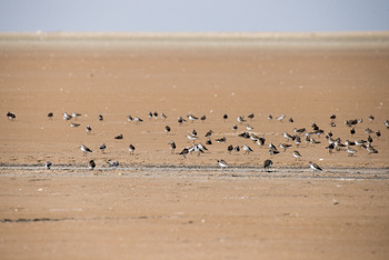  Naturreservat der Feuchtgebiete