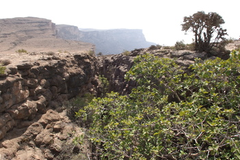 Reserva de Jabal Samhan
