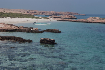 Réserve naturelle des îles Dimaniyat