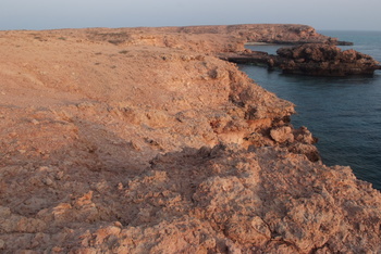 Naturreservat Daymaniyat Inseln