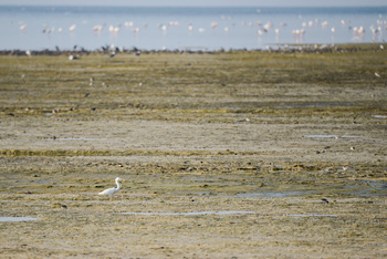 Naturreservat der Feuchtgebiete