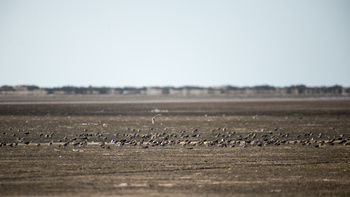 Naturreservat der Feuchtgebiete