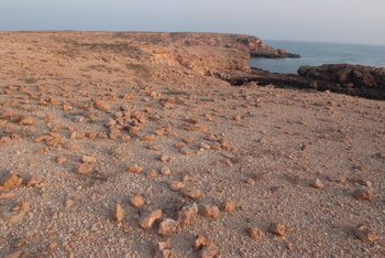 Naturreservat Daymaniyat Inseln