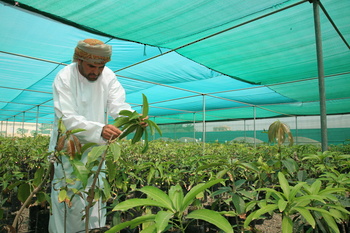 Agricultural Wealth