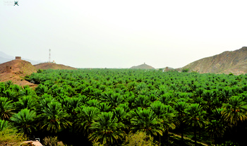 Agricultural Wealth