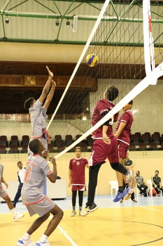Team Sports