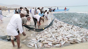 Fischereiressourcen