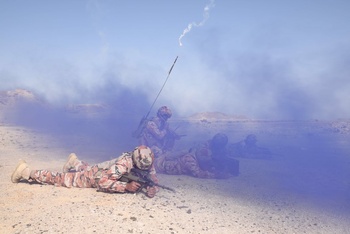 Gemeinsame Militärmanöver und Übungen