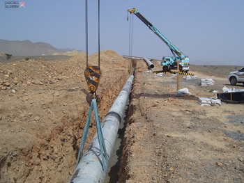 Trade and Industry