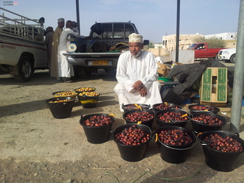Agricultural Wealth