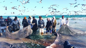 Fischereiressourcen