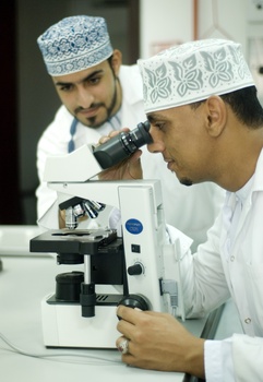 Government Rehabilitation and Training Centers and Institutes