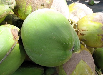 Agricultural Wealth