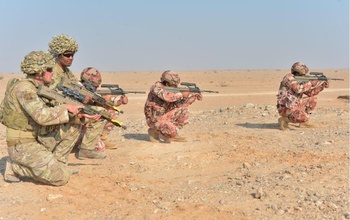 Gemeinsame Militärmanöver und Übungen