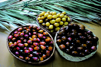 Agricultural Wealth