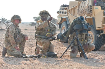 Manœuvres et exercices militaires conjoints 
