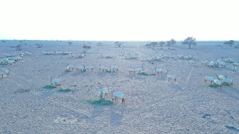 アル・ウスタ県ヒマ地方の動植物自然保護区