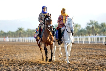 Chevaux et dromadaires 