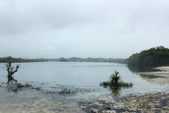 Naturreservat Khor Awqad