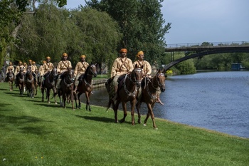 Chevaux et dromadaires 