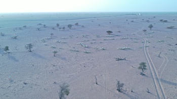 アル・ウスタ県ヒマ地方の動植物自然保護区