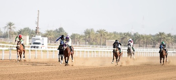 Camel Racing