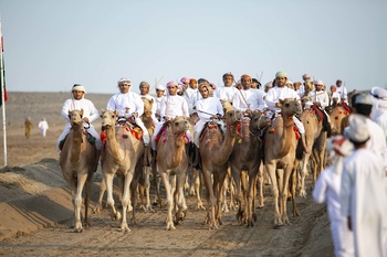 Camel Racing