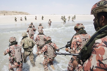 Manœuvres et exercices militaires conjoints 