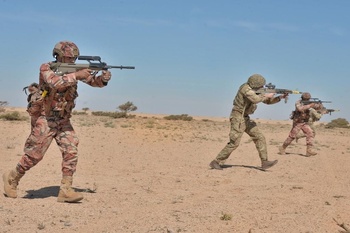 Manœuvres et exercices militaires conjoints 