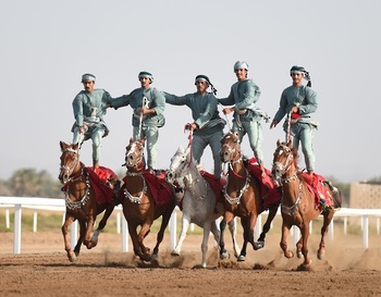 Chevaux et dromadaires 