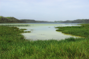 Naturreservat Khor Souli