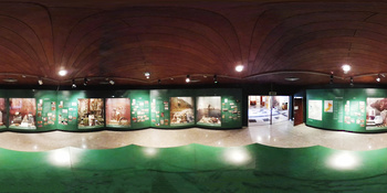 Musée d\'histoire naturelle