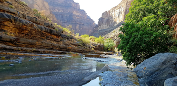 Wadi Al Nakhar – Wilaya d\'Al Hamra