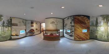 Musée d\'histoire naturelle