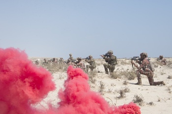 Manœuvres et exercices militaires conjoints 