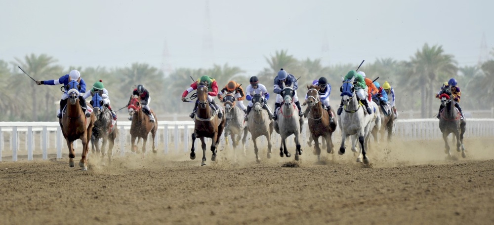 The Royal Horse Racing Club completes all preparations for the start of the horse racing season next Saturday